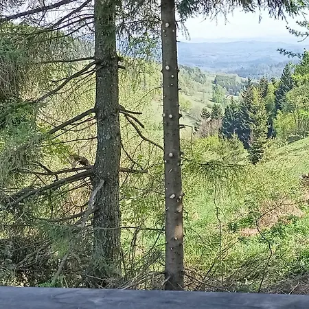 Na Przeleczy * Sokolec